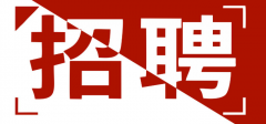  上海多费非歌网络科技有限公司-人才招聘 